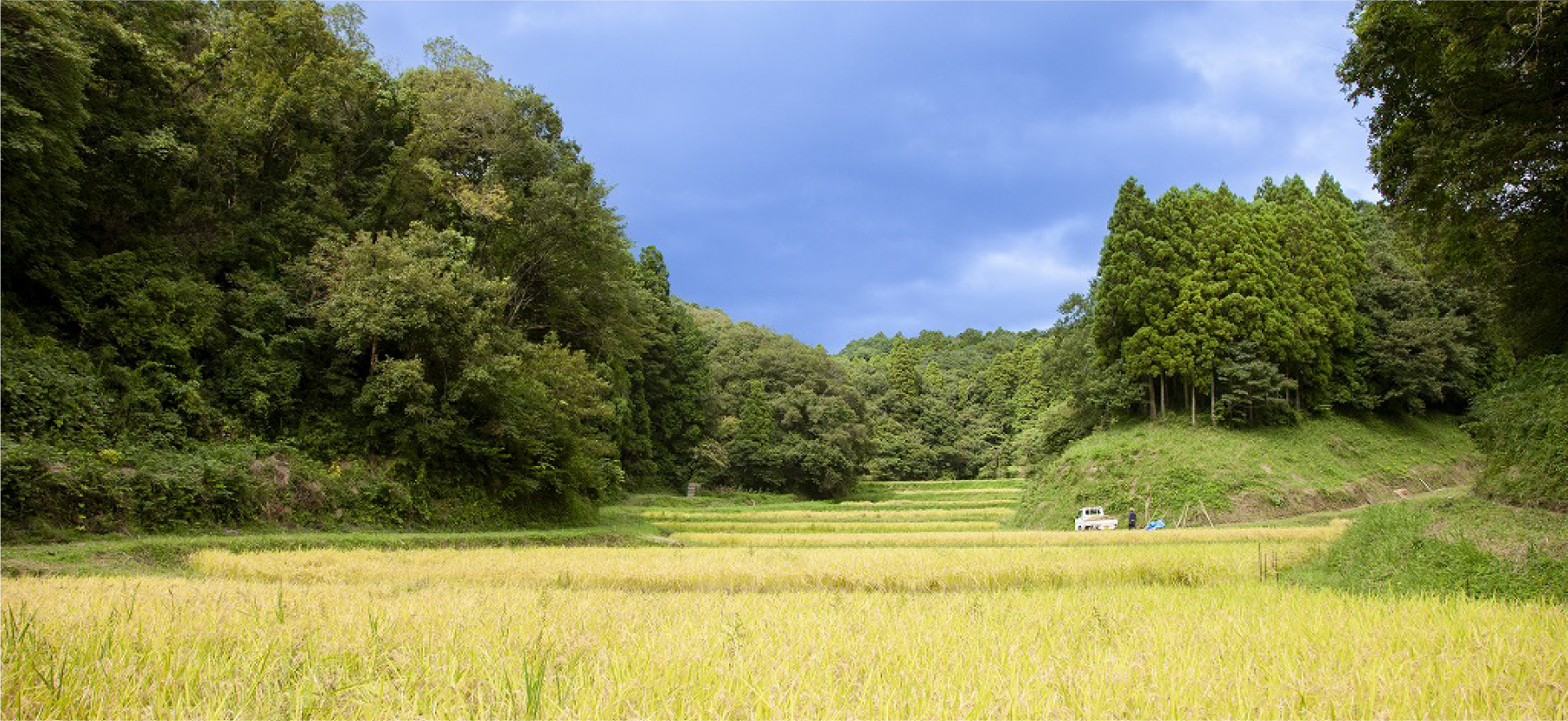 川原井自然学校
