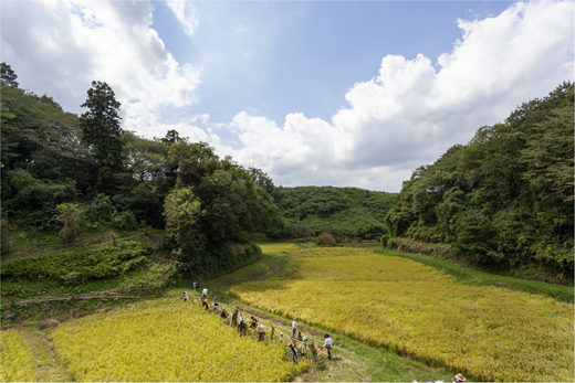 谷津田